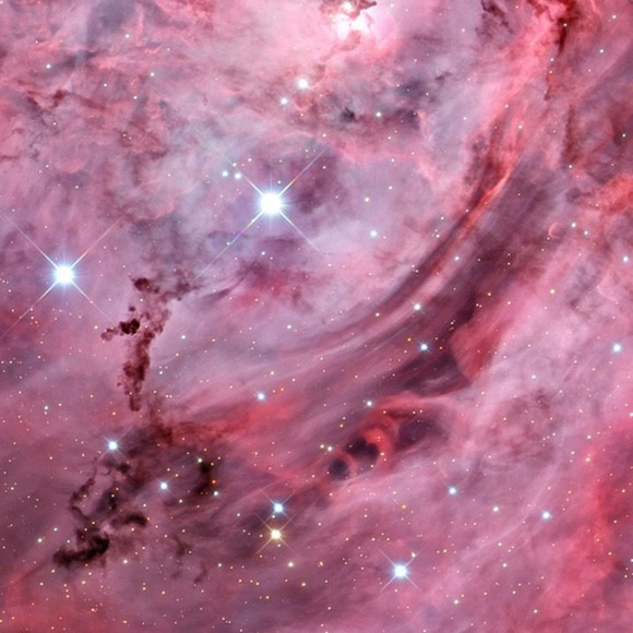 Meet your Posher, Kash - Picture 1 of 1